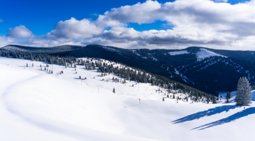 China Bowl Vail After Fresh Snow